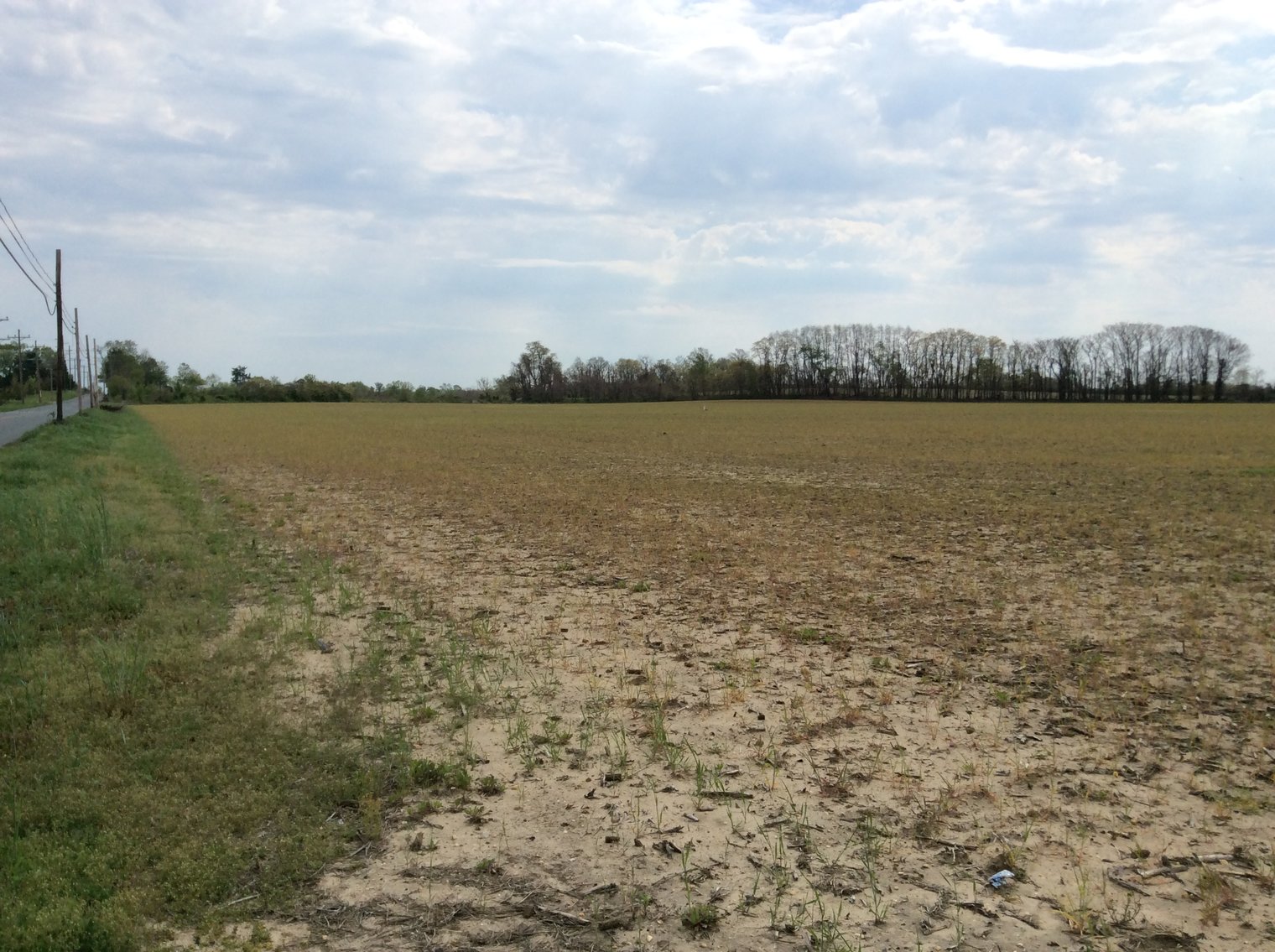 Image for 19 +/- Acres Available in Woolwich Township