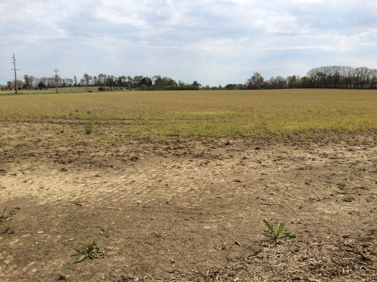 Image for 19 +/- Acres Available in Woolwich Township