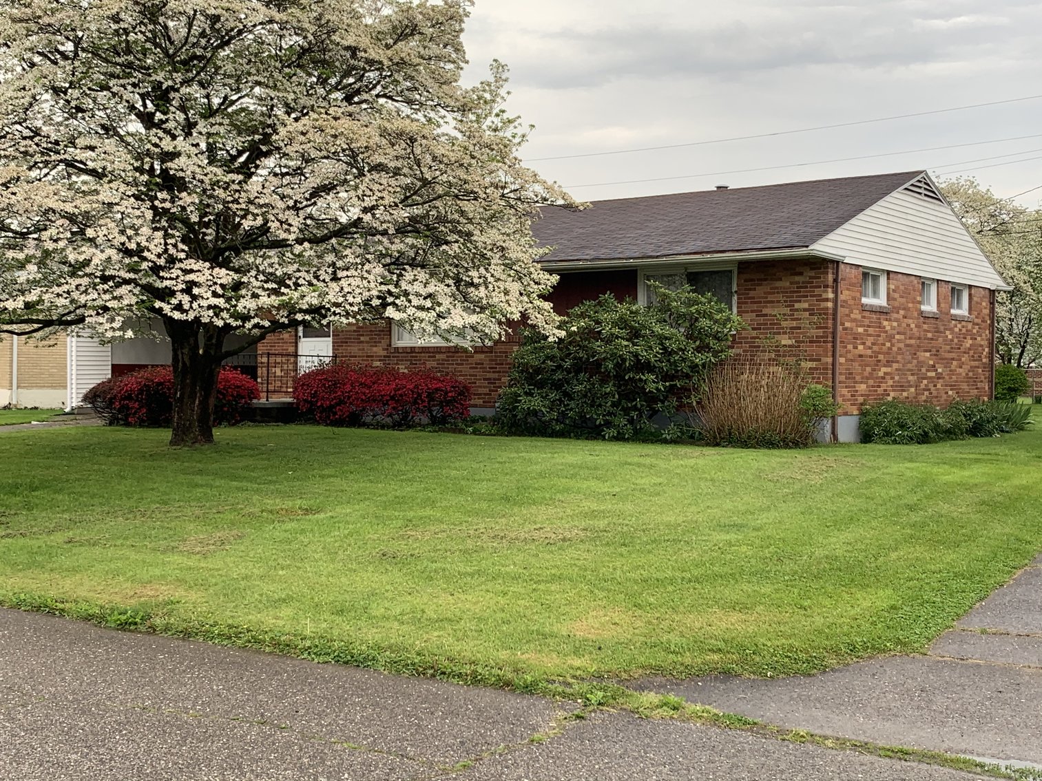 Image for Absolute Real Estate Auction