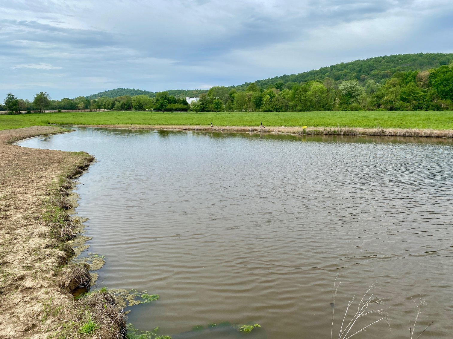 Image for 4 BR/2.5 BA Home on 20+ Acres w/Large Barn, Outbuildings, Fencing & More!--Culpeper County, VA