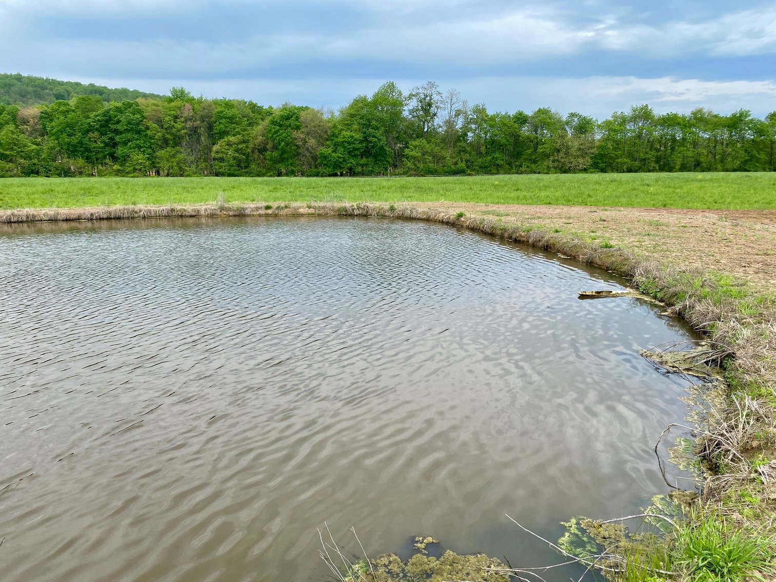 Image for 4 BR/2.5 BA Home on 20+ Acres w/Large Barn, Outbuildings, Fencing & More!--Culpeper County, VA