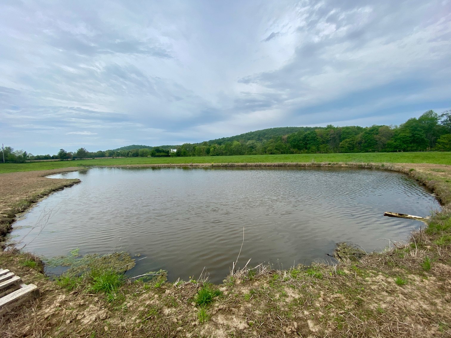 Image for 4 BR/2.5 BA Home on 20+ Acres w/Large Barn, Outbuildings, Fencing & More!--Culpeper County, VA