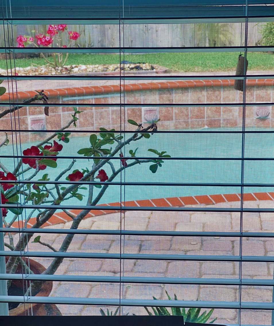 Image for For Sale 3/2/2 Pool Home in Jensen Beach