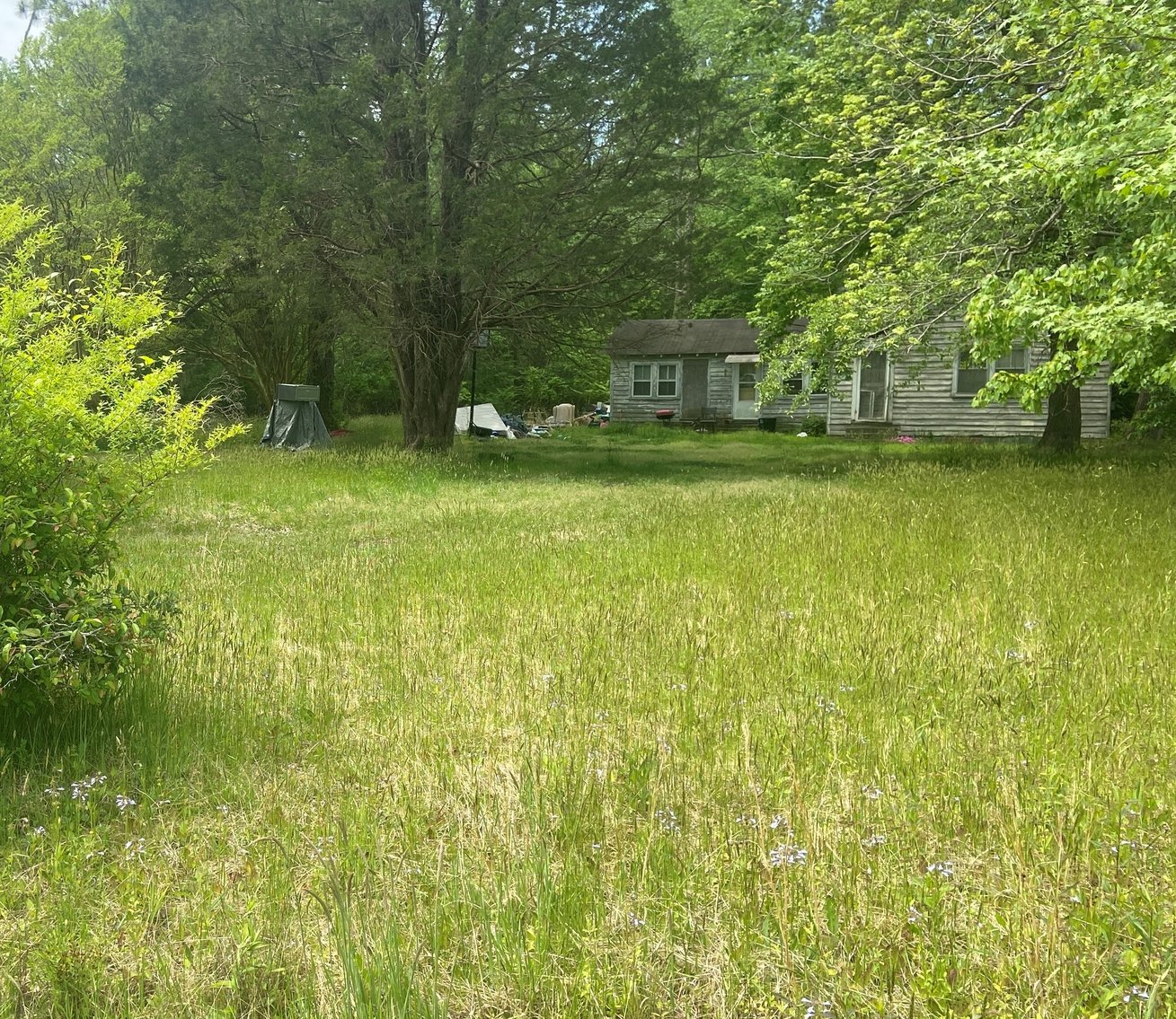 Image for May 11th - May 26th - Isle of Wight Tax Auction