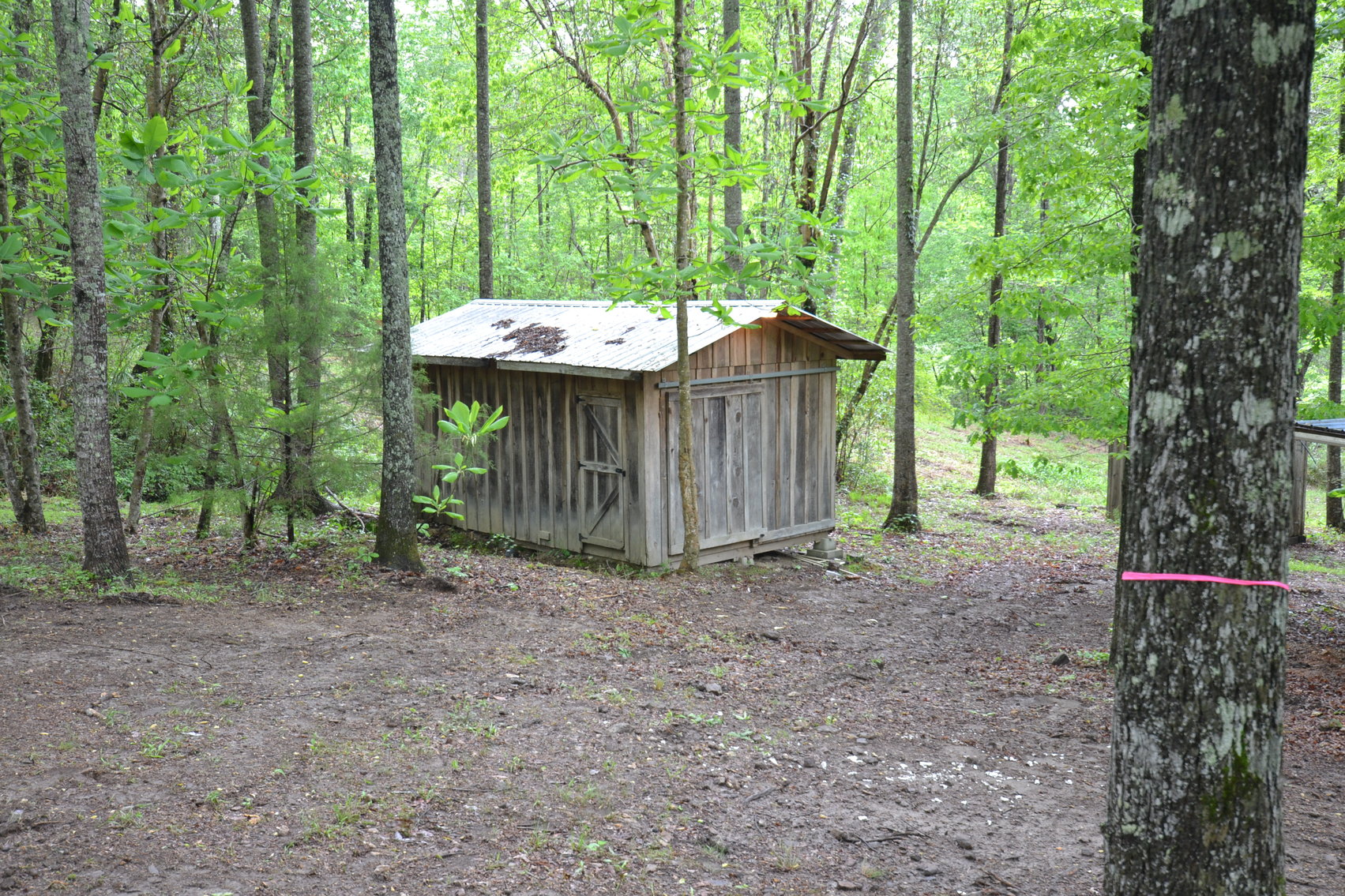 Image for Woodland, AL 3 Homes ~ Large Shop 4+/- acres