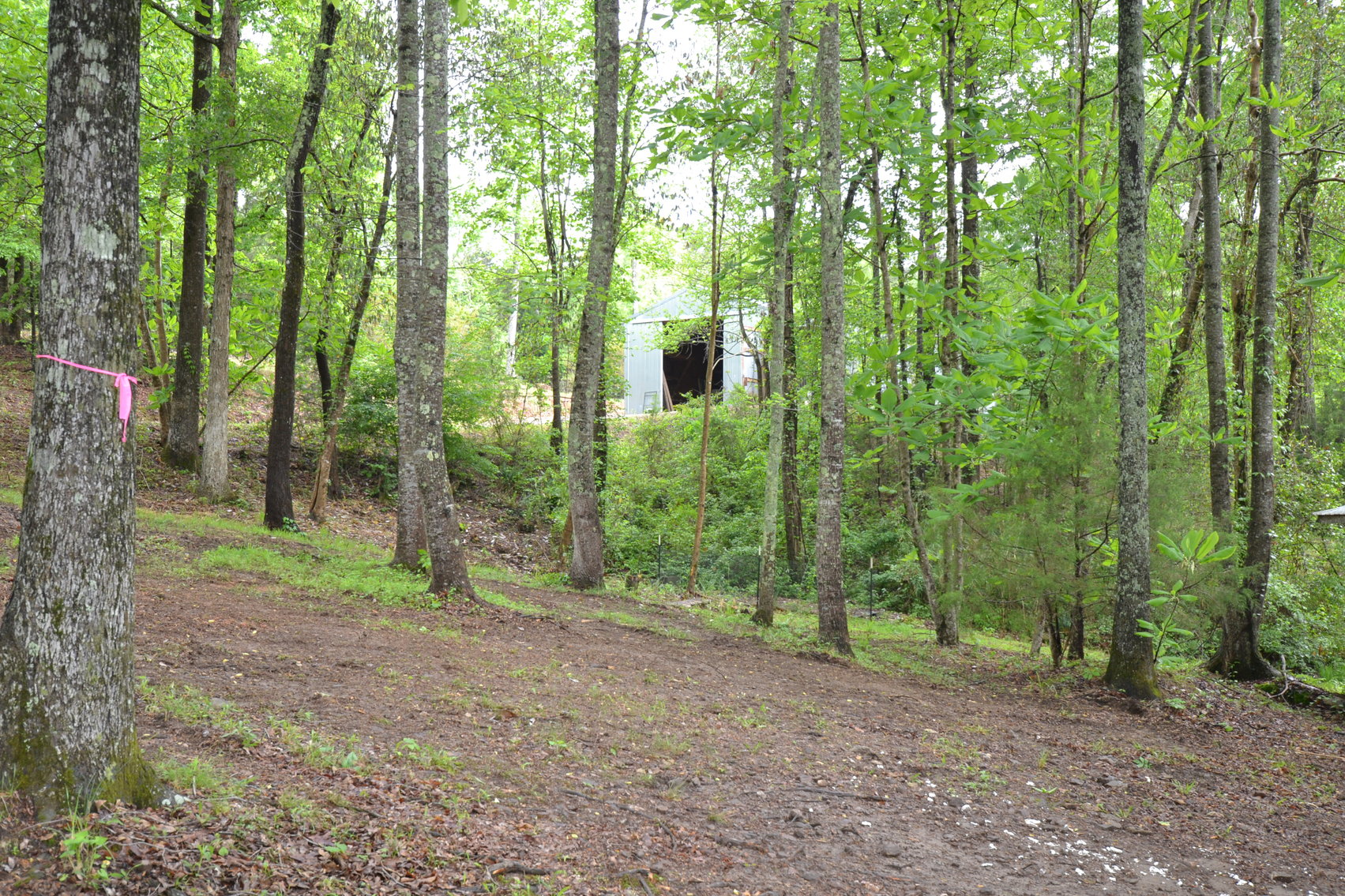 Image for Woodland, AL 3 Homes ~ Large Shop 4+/- acres