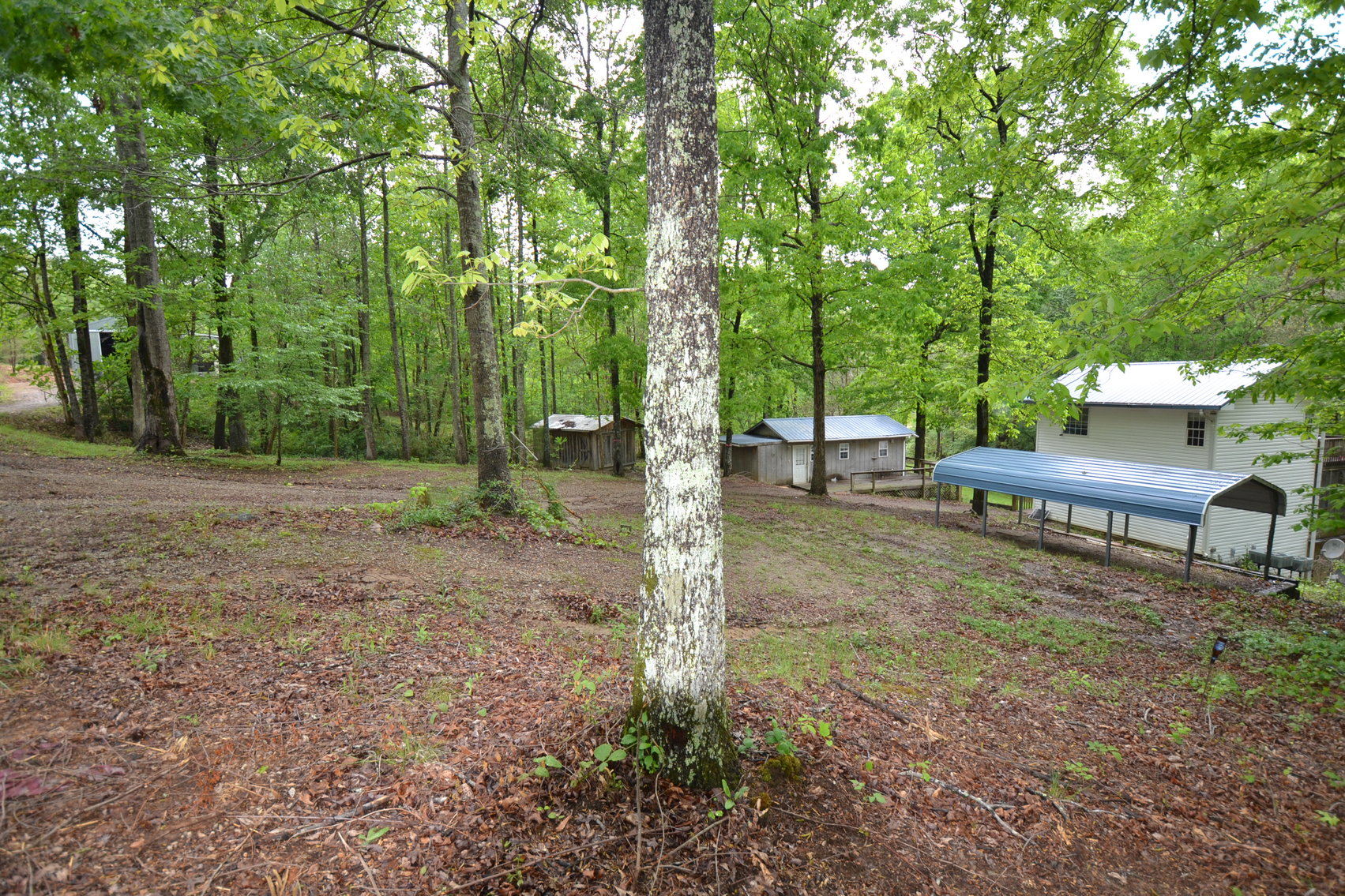 Image for Woodland, AL 3 Homes ~ Large Shop 4+/- acres