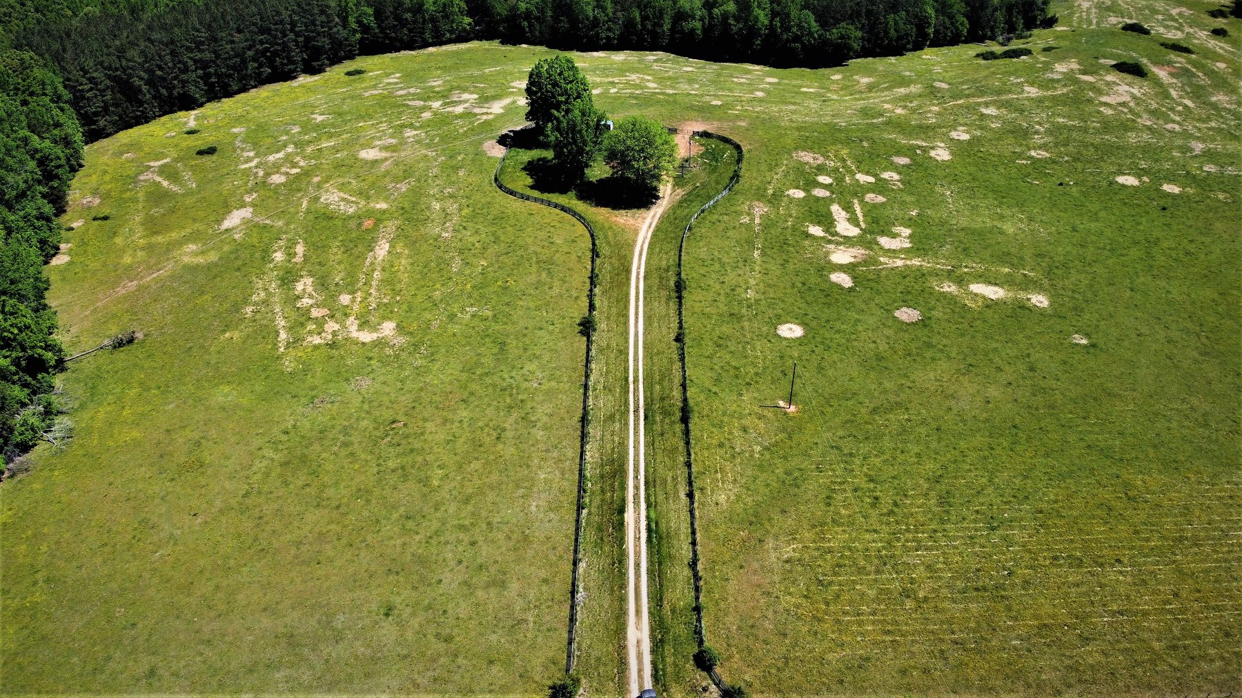 Image for 118 +/- Acres of Timber & Fenced Pasture Land--Lunenburg County, VA