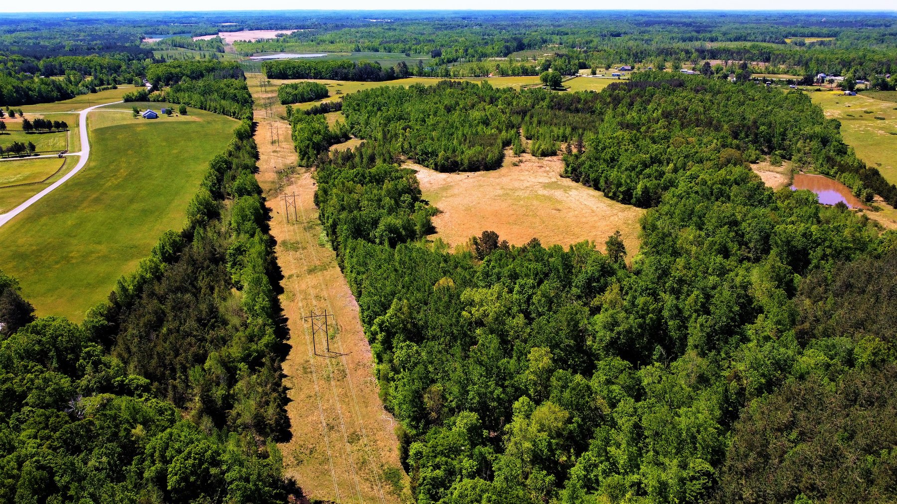 Image for 118 +/- Acres of Timber & Fenced Pasture Land--Lunenburg County, VA