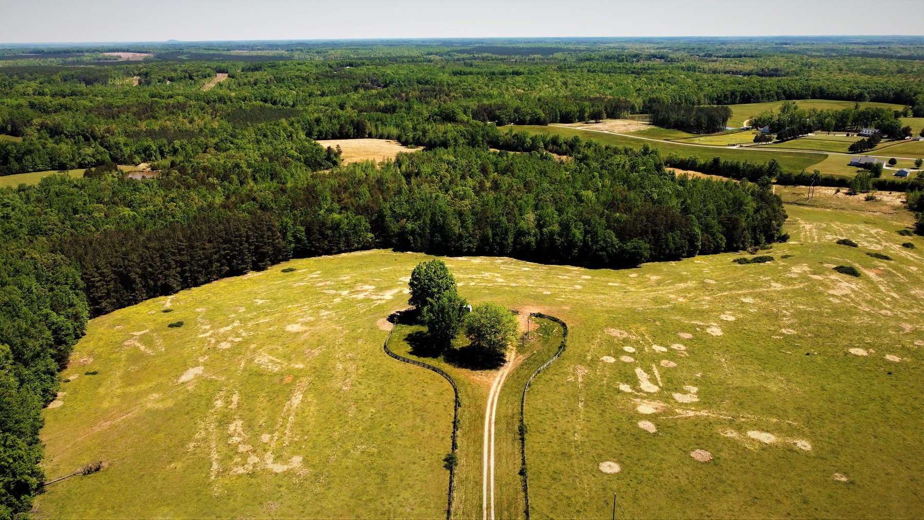 Image for 118 +/- Acres of Timber & Fenced Pasture Land--Lunenburg County, VA