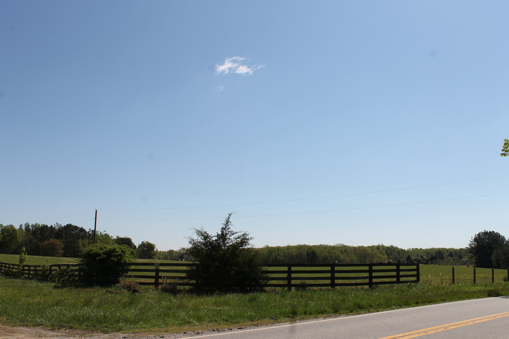 Image for 118 +/- Acres of Timber & Fenced Pasture Land--Lunenburg County, VA