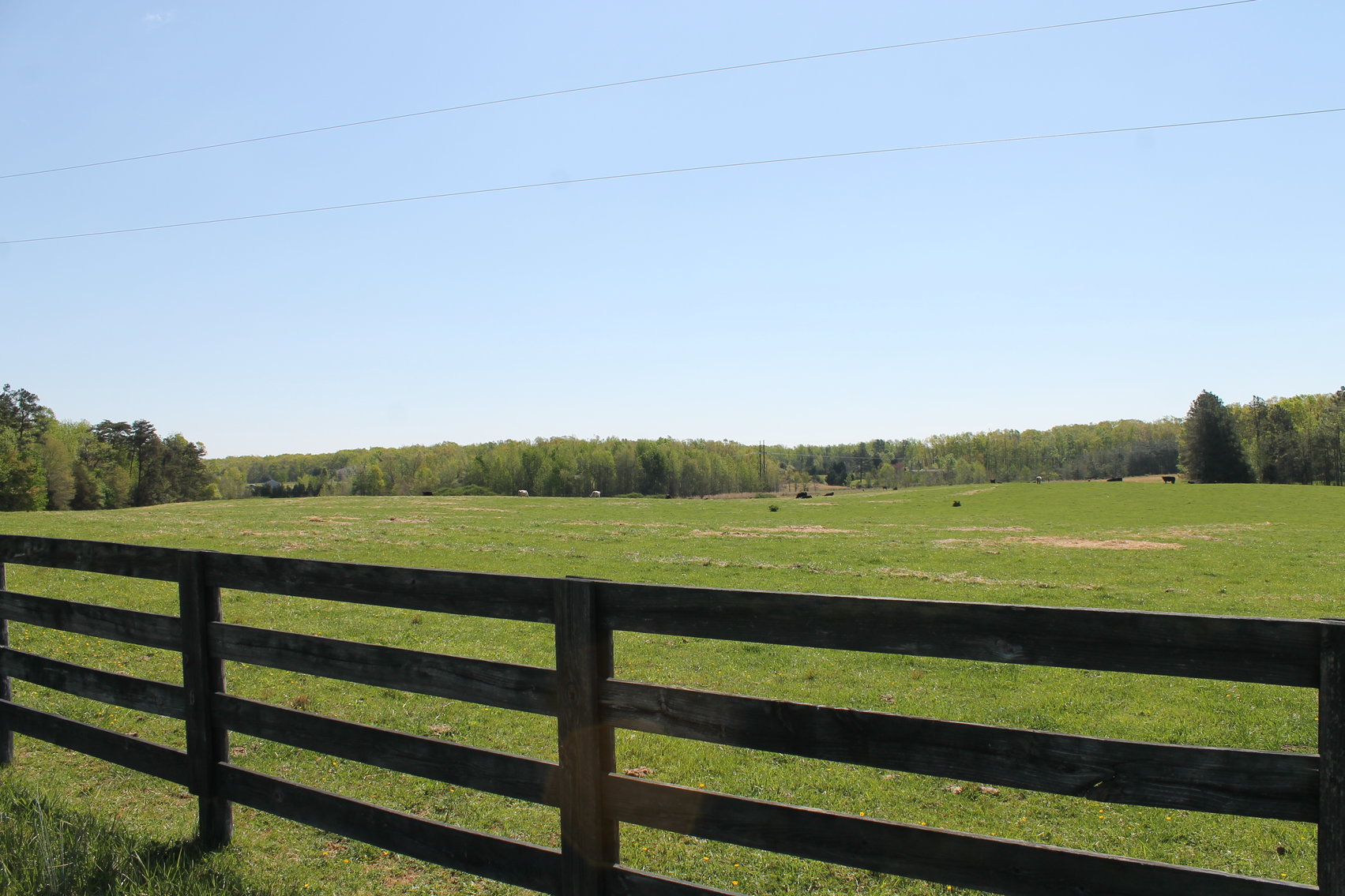 Image for 118 +/- Acres of Timber & Fenced Pasture Land--Lunenburg County, VA