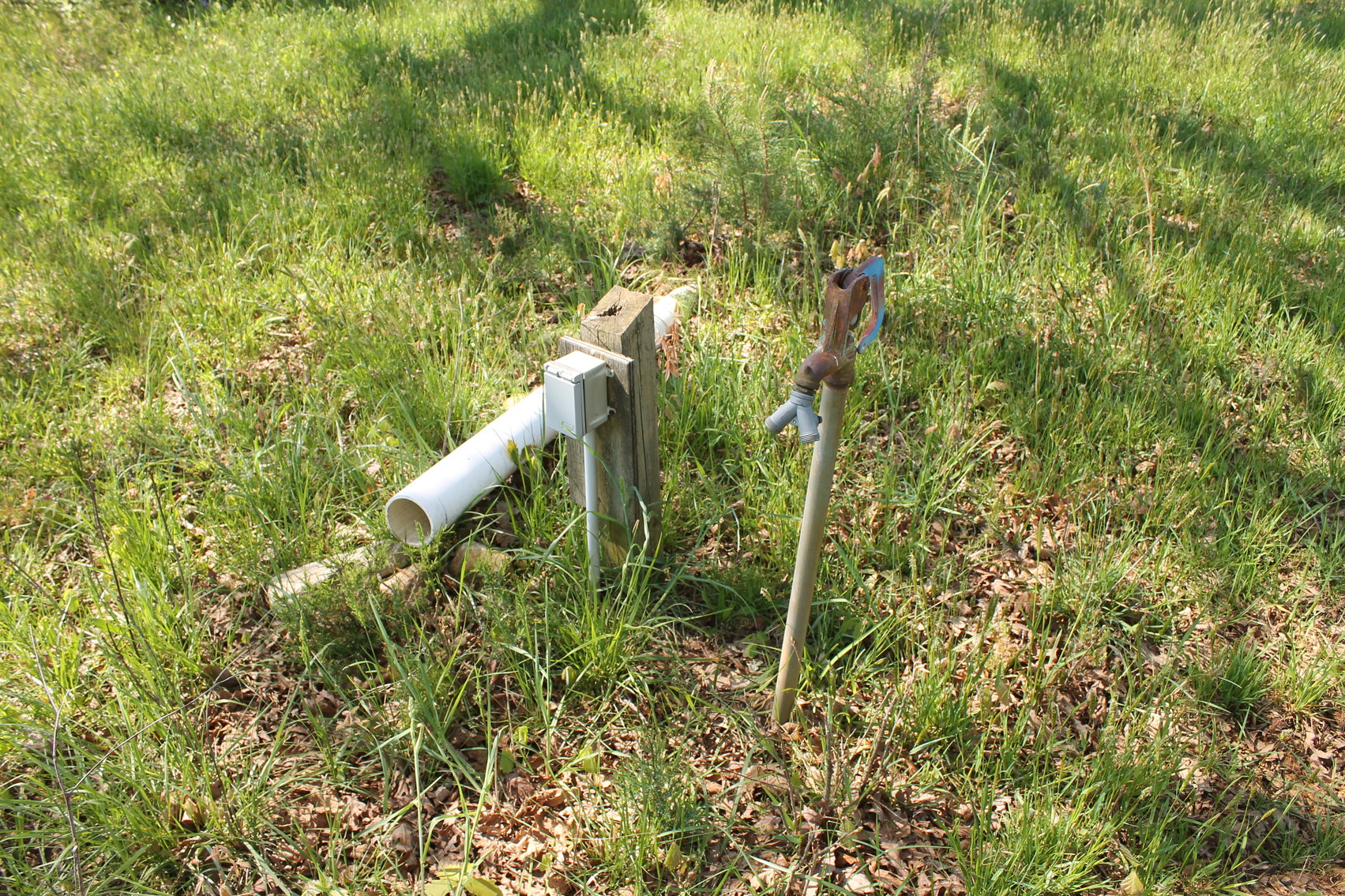 Image for 118 +/- Acres of Timber & Fenced Pasture Land--Lunenburg County, VA