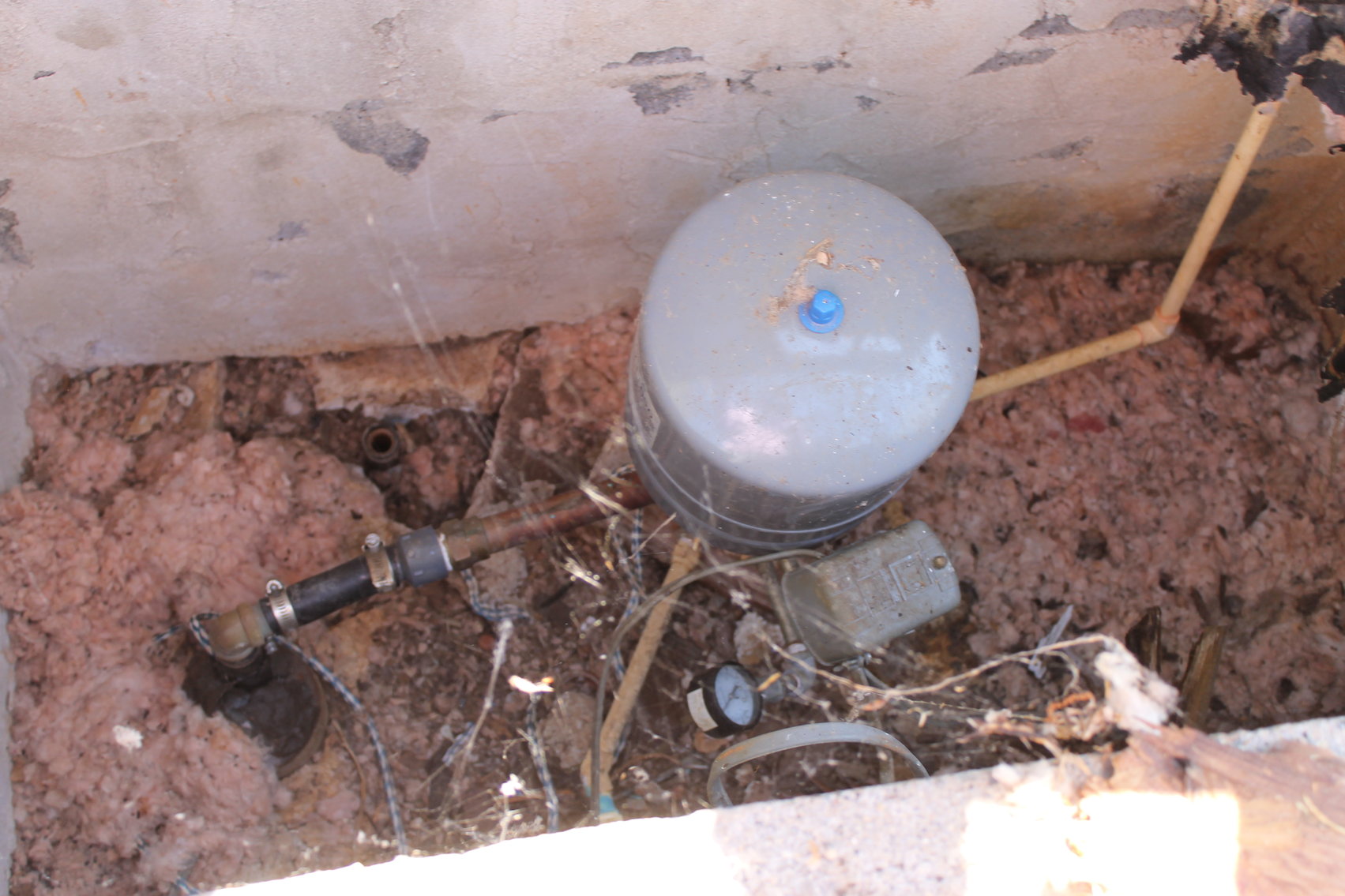 Image for 118 +/- Acres of Timber & Fenced Pasture Land--Lunenburg County, VA