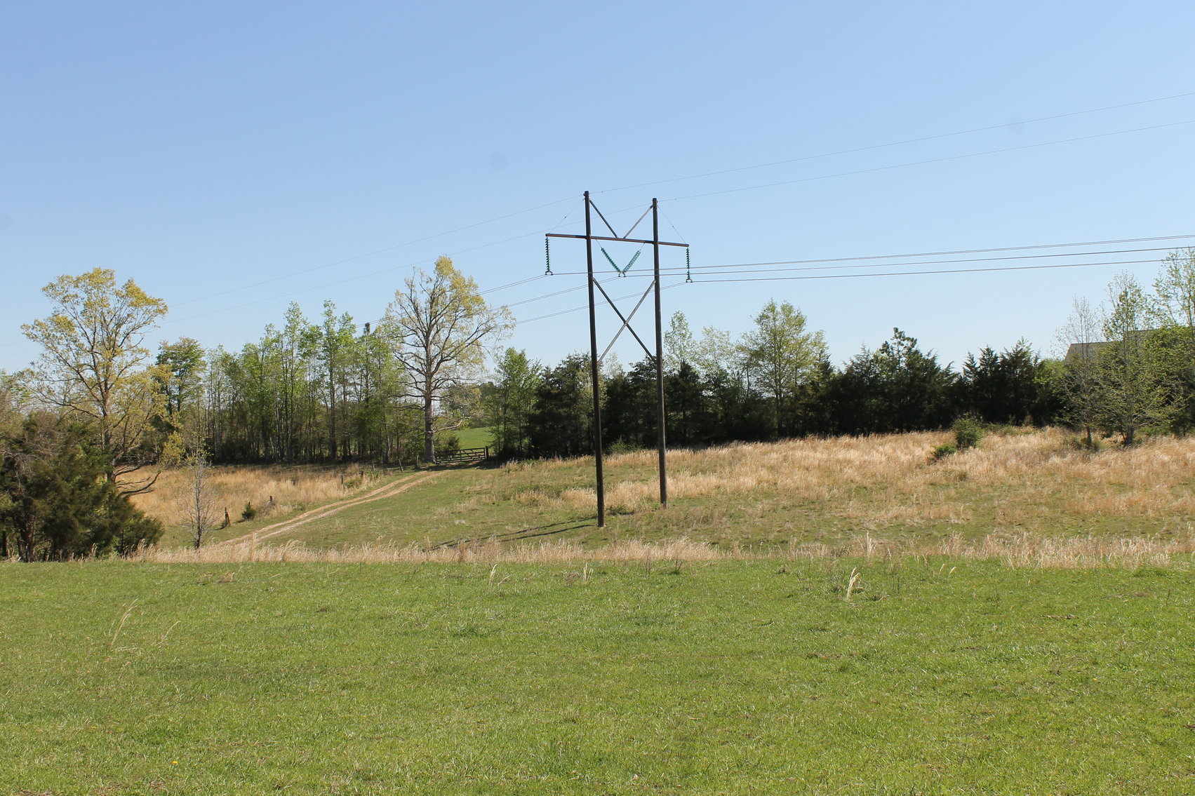 Image for 118 +/- Acres of Timber & Fenced Pasture Land--Lunenburg County, VA