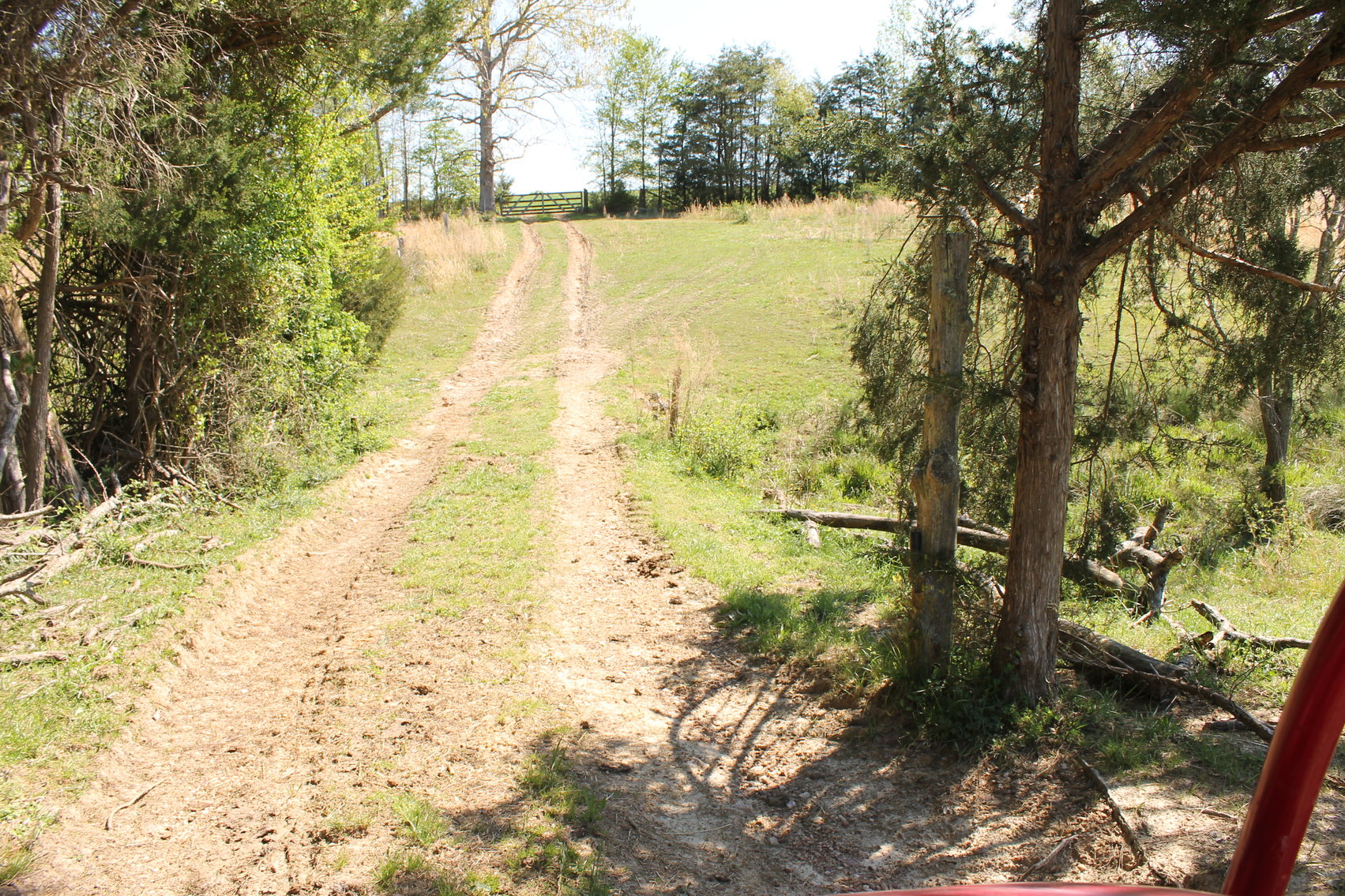 Image for 118 +/- Acres of Timber & Fenced Pasture Land--Lunenburg County, VA