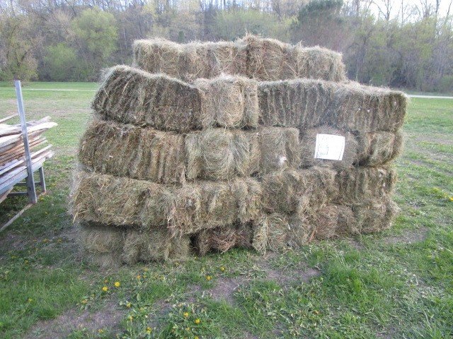 Image for Annual Spring Gaslite Auction- Live!