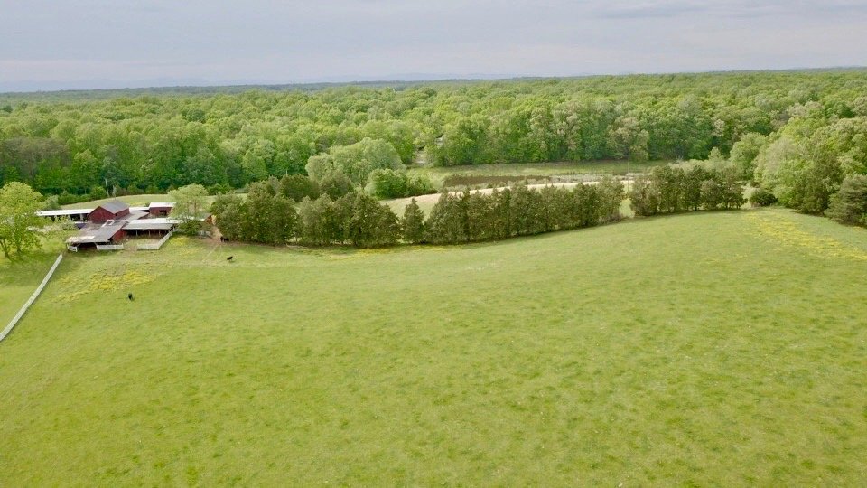 Image for 4 BR/2 BA Farm House, Barns, Fencing & 2 Ponds on 57.5 +/- Acres in Fauquier County, VA--SELLING to the HIGHEST BIDDER!!