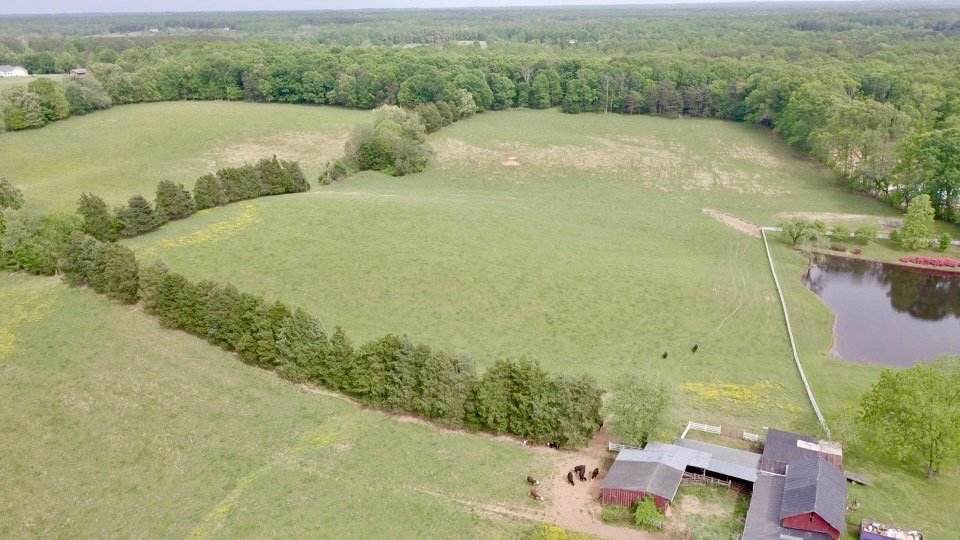 Image for 4 BR/2 BA Farm House, Barns, Fencing & 2 Ponds on 57.5 +/- Acres in Fauquier County, VA--SELLING to the HIGHEST BIDDER!!