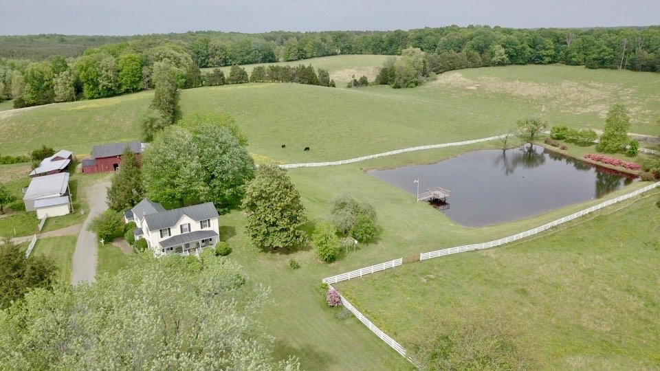 Image for 4 BR/2 BA Farm House, Barns, Fencing & 2 Ponds on 57.5 +/- Acres in Fauquier County, VA--SELLING to the HIGHEST BIDDER!!