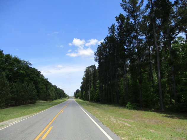 Image for LIVE AUCTION - June 10, 2021