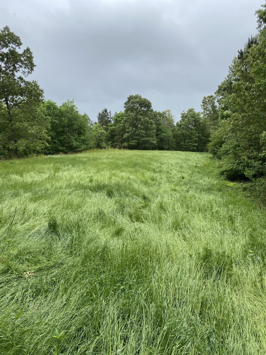 Image for 111+/- Acres Over 4300’ Tallapoosa River Frontage