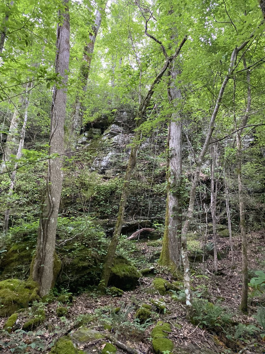 Image for 111+/- Acres Over 4300’ Tallapoosa River Frontage