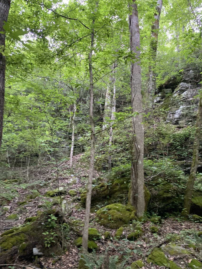 Image for 111+/- Acres Over 4300’ Tallapoosa River Frontage