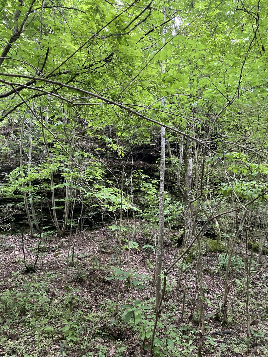 Image for 111+/- Acres Over 4300’ Tallapoosa River Frontage