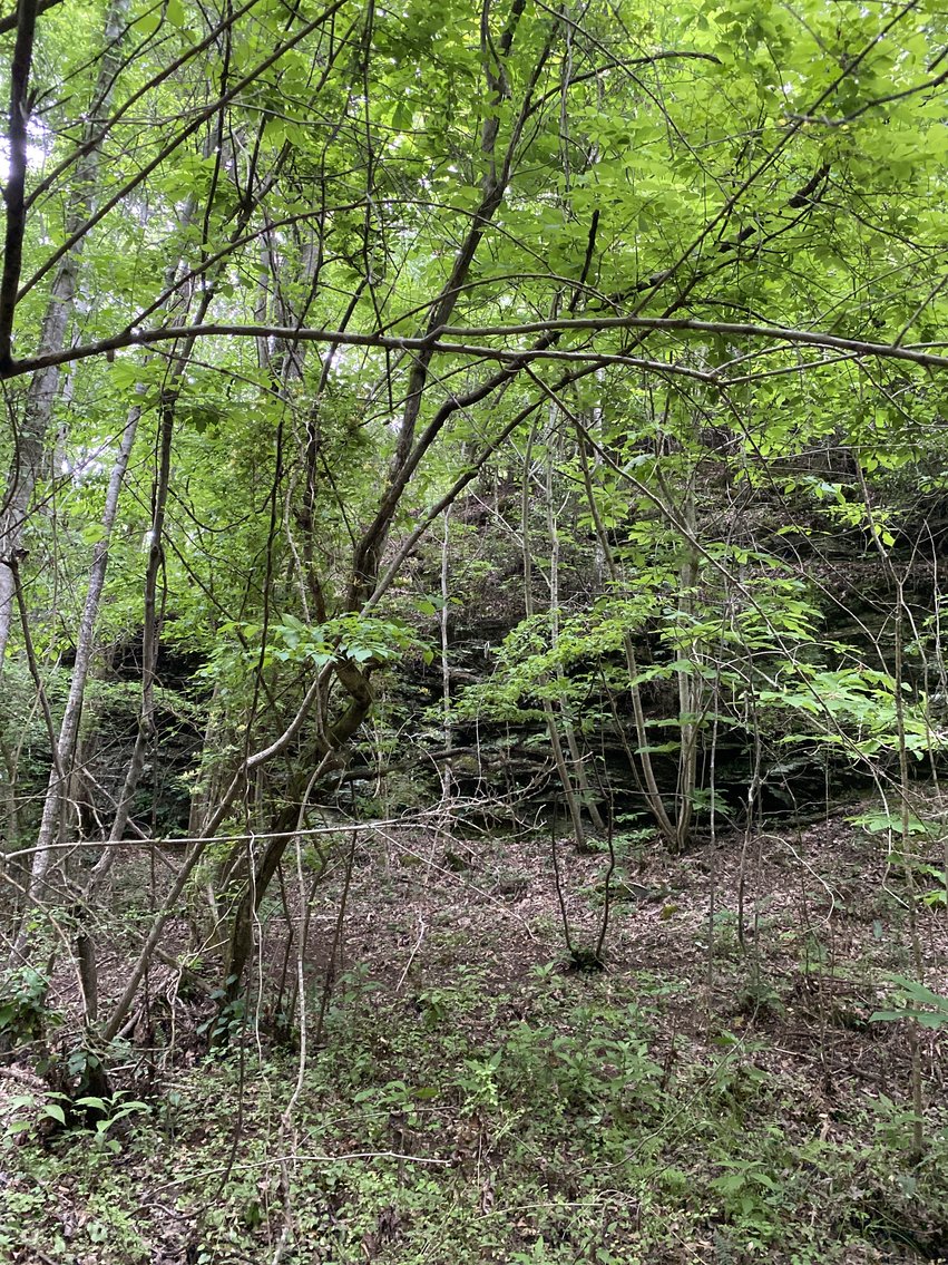 Image for 111+/- Acres Over 4300’ Tallapoosa River Frontage