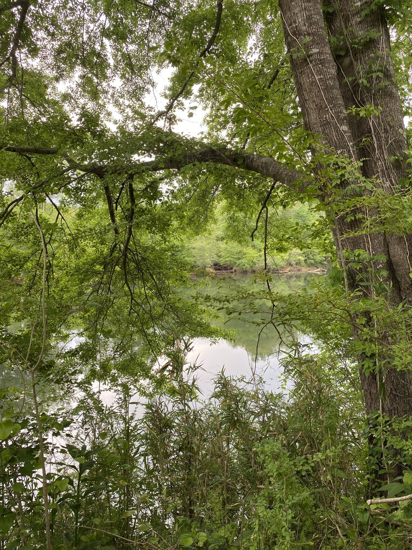 Image for 111+/- Acres Over 4300’ Tallapoosa River Frontage