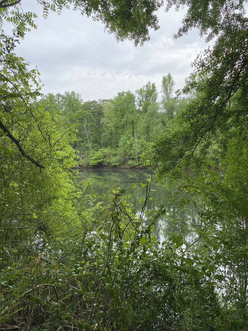 Image for 111+/- Acres Over 4300’ Tallapoosa River Frontage