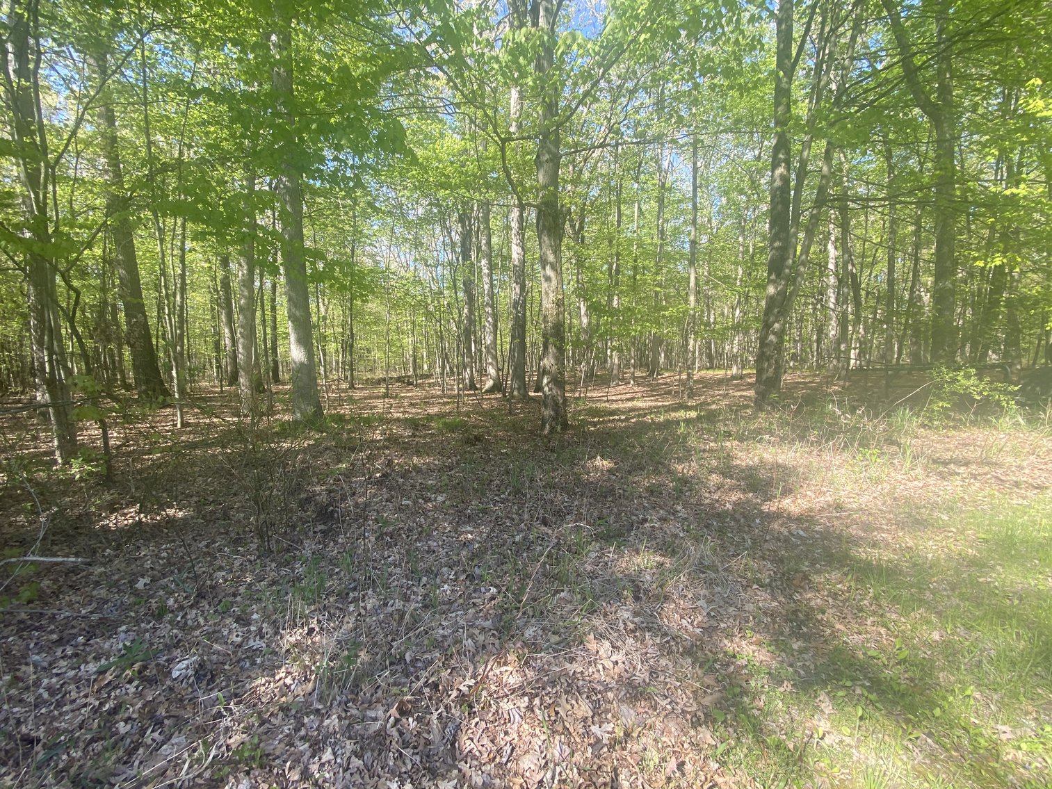 Image for 4457 County Road 1, Swanton, Ohio 43558