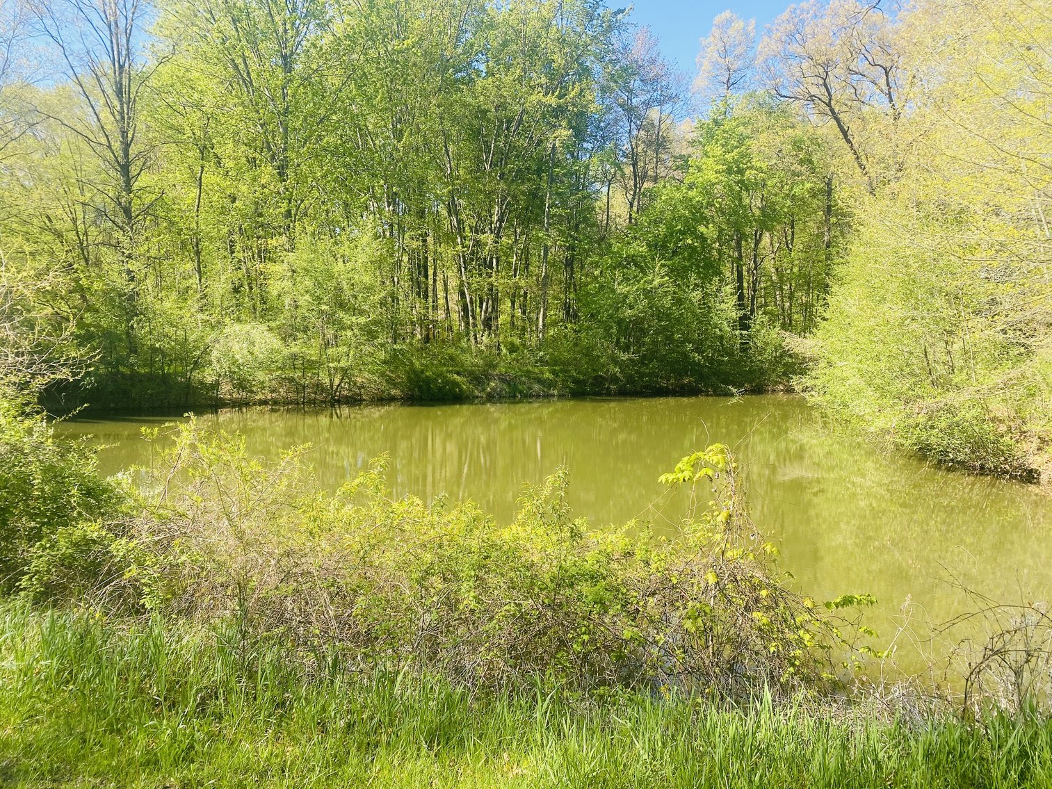 Image for 4457 County Road 1, Swanton, Ohio 43558