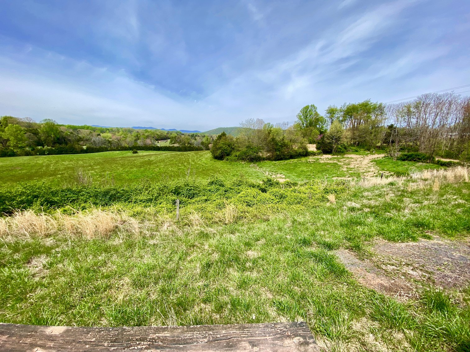 Image for 3 BR/3.5 BA Home on 21 +/- Acres w/Blue Ridge Mountain Views in Madison County, VA--SELLS to the HIGHEST BIDDER!!