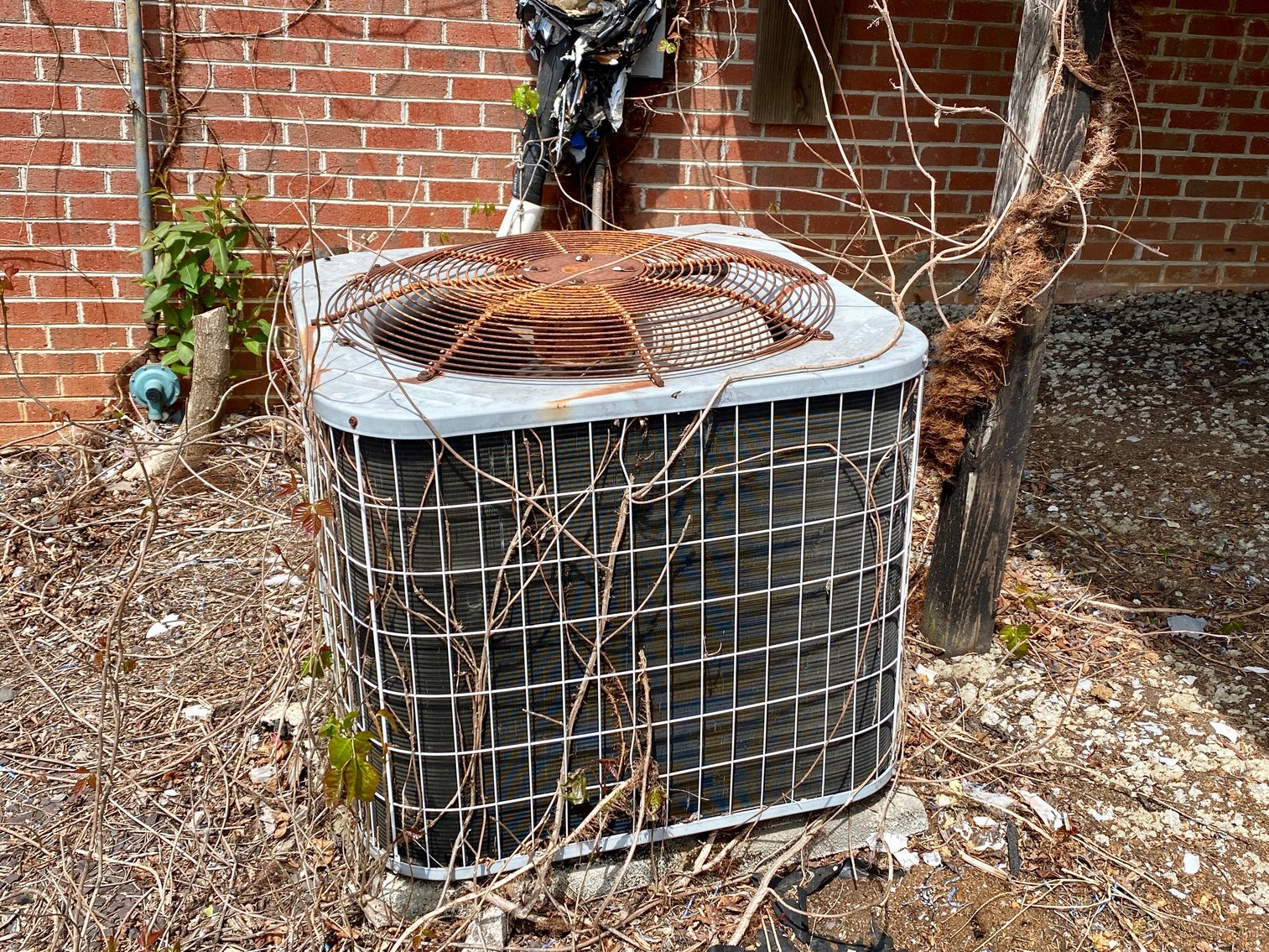 Image for 3 BR/3.5 BA Home on 21 +/- Acres w/Blue Ridge Mountain Views in Madison County, VA--SELLS to the HIGHEST BIDDER!!