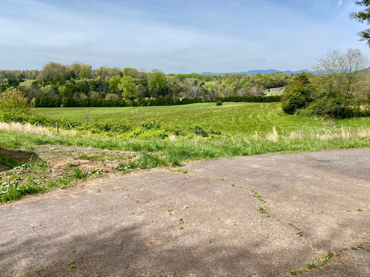 Image for 3 BR/3.5 BA Home on 21 +/- Acres w/Blue Ridge Mountain Views in Madison County, VA--SELLS to the HIGHEST BIDDER!!