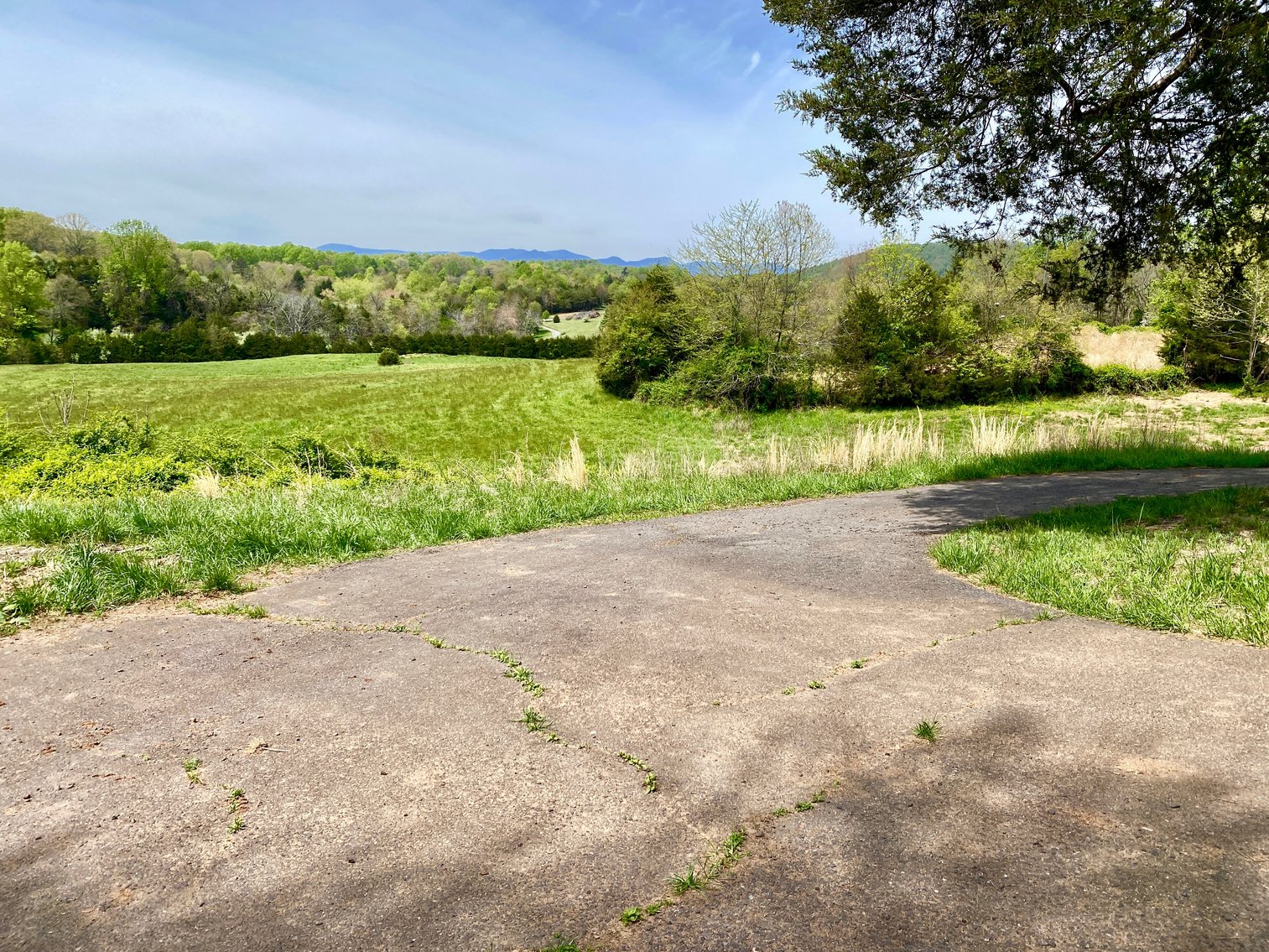 Image for 3 BR/3.5 BA Home on 21 +/- Acres w/Blue Ridge Mountain Views in Madison County, VA--SELLS to the HIGHEST BIDDER!!