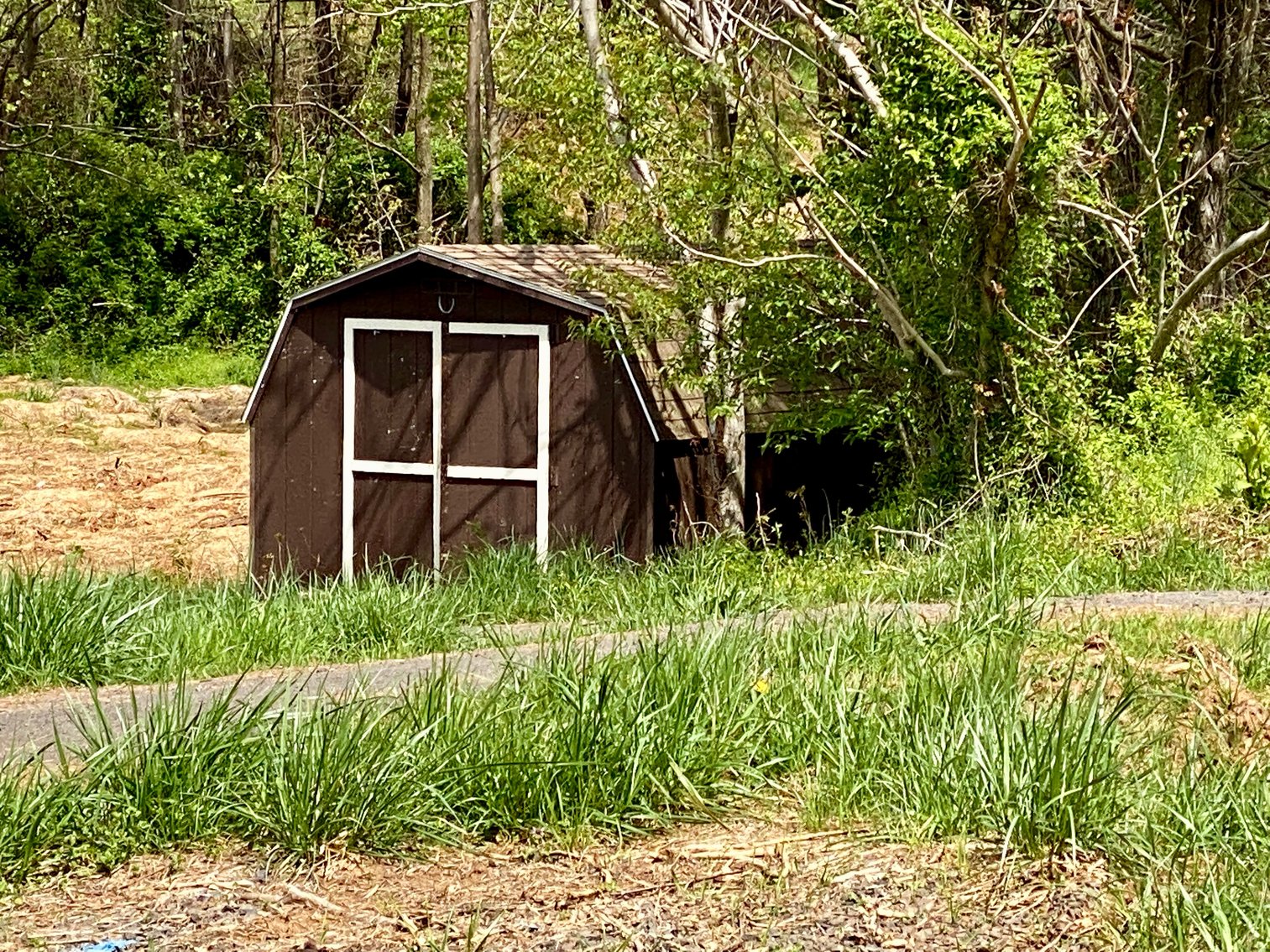 Image for 3 BR/3.5 BA Home on 21 +/- Acres w/Blue Ridge Mountain Views in Madison County, VA--SELLS to the HIGHEST BIDDER!!