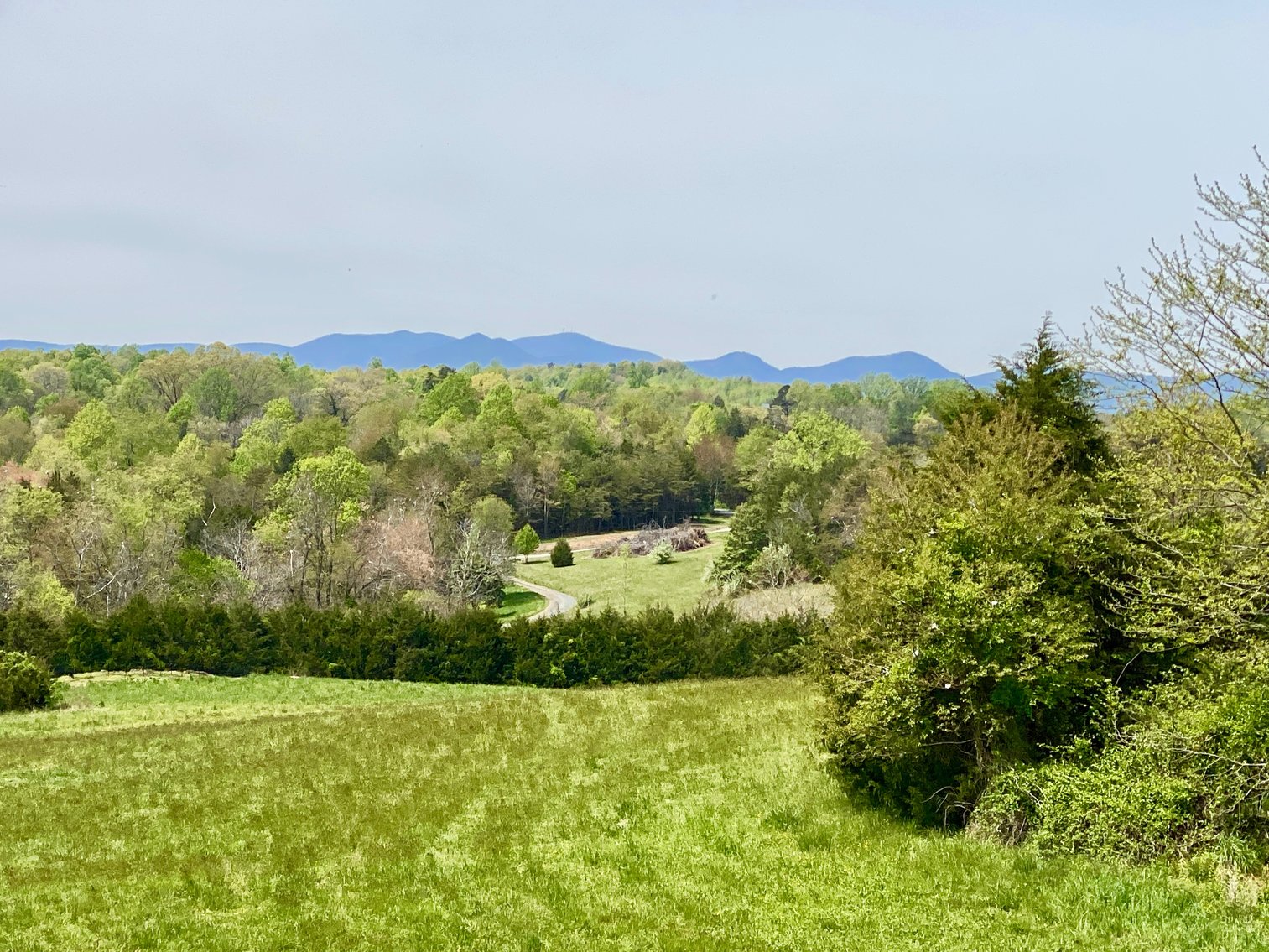 Image for 3 BR/3.5 BA Home on 21 +/- Acres w/Blue Ridge Mountain Views in Madison County, VA--SELLS to the HIGHEST BIDDER!!