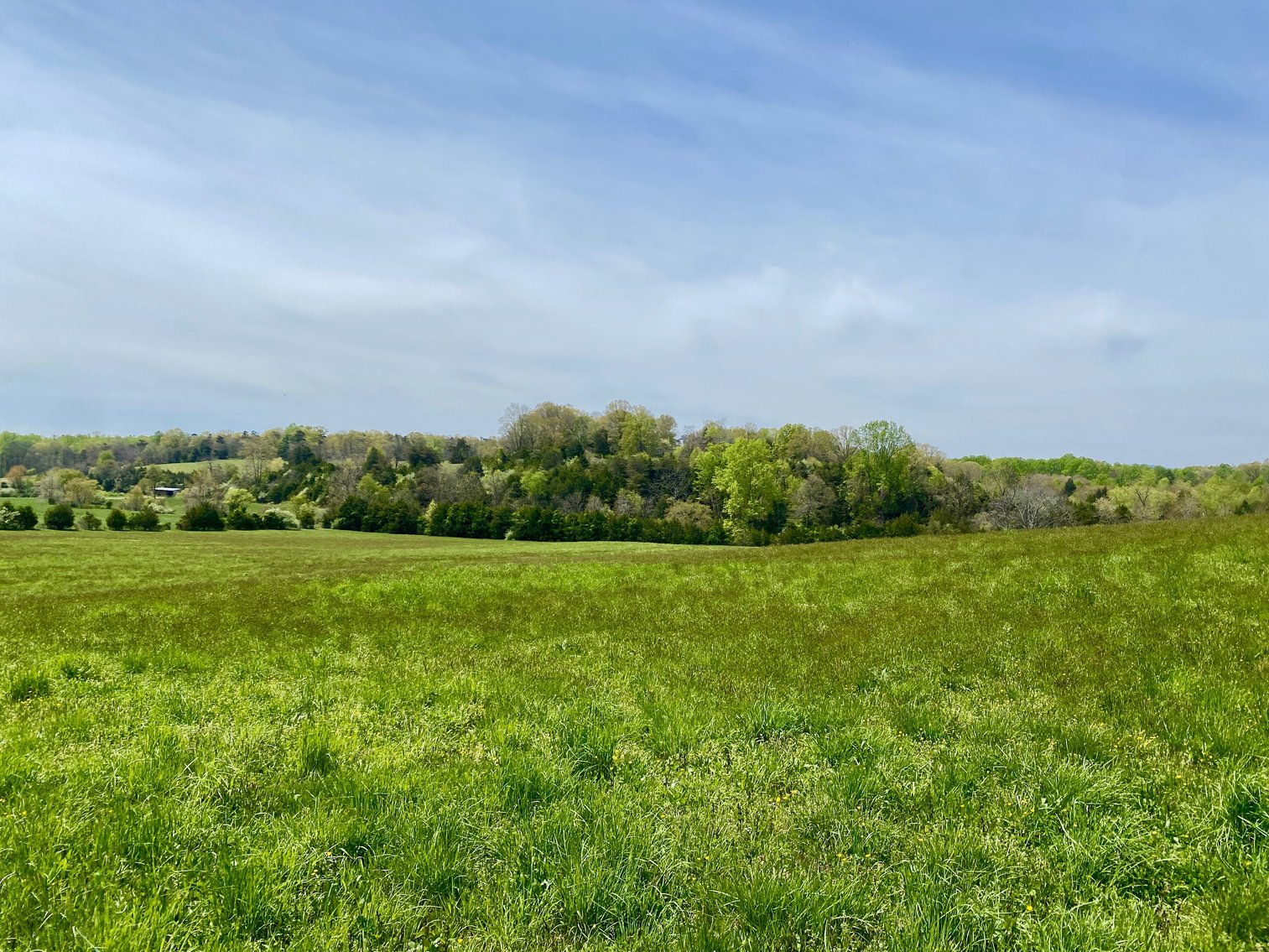 Image for 3 BR/3.5 BA Home on 21 +/- Acres w/Blue Ridge Mountain Views in Madison County, VA--SELLS to the HIGHEST BIDDER!!