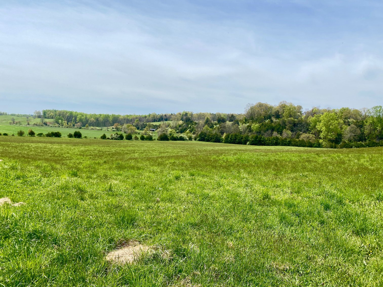 Image for 3 BR/3.5 BA Home on 21 +/- Acres w/Blue Ridge Mountain Views in Madison County, VA--SELLS to the HIGHEST BIDDER!!