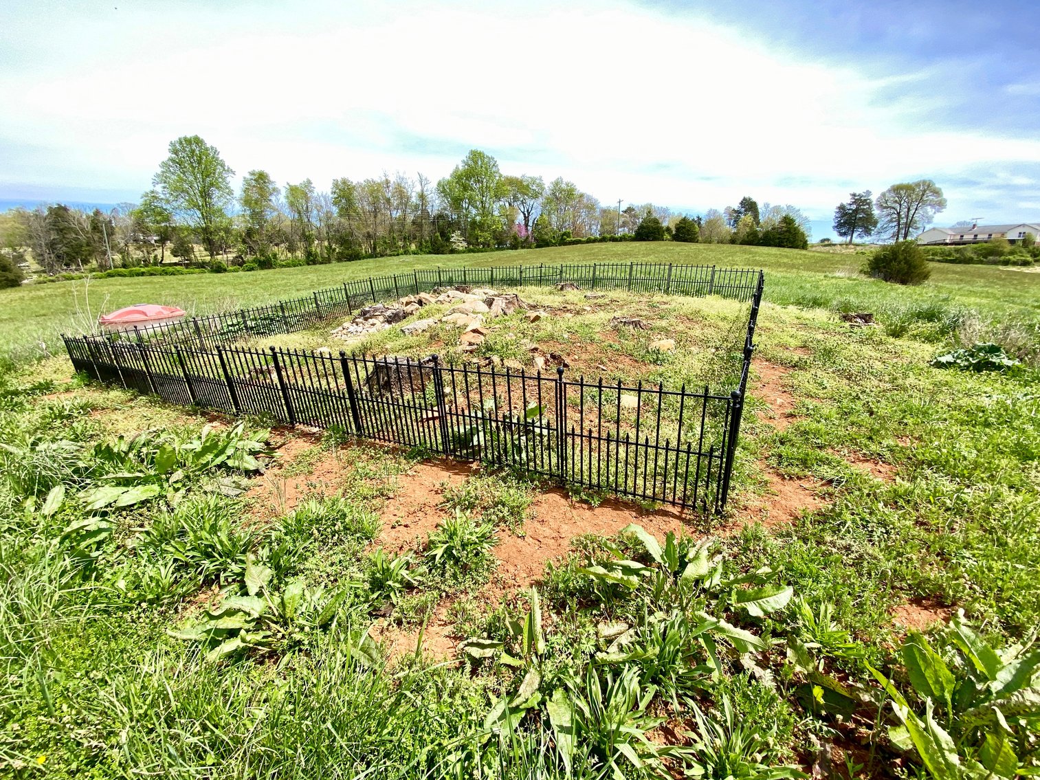 Image for 3 BR/3.5 BA Home on 21 +/- Acres w/Blue Ridge Mountain Views in Madison County, VA--SELLS to the HIGHEST BIDDER!!