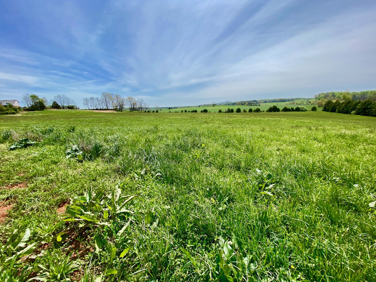 Image for 3 BR/3.5 BA Home on 21 +/- Acres w/Blue Ridge Mountain Views in Madison County, VA--SELLS to the HIGHEST BIDDER!!