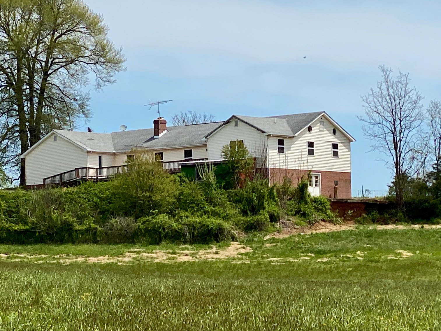 Image for 3 BR/3.5 BA Home on 21 +/- Acres w/Blue Ridge Mountain Views in Madison County, VA--SELLS to the HIGHEST BIDDER!!