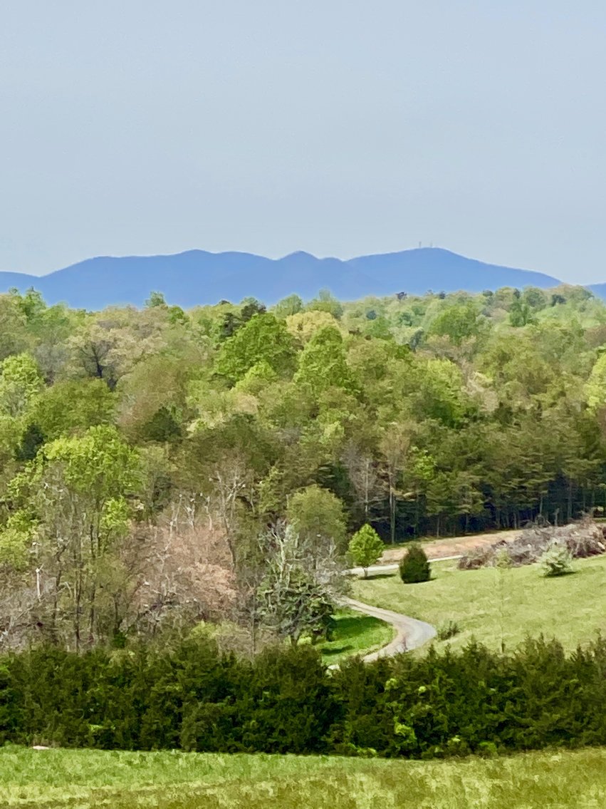 Image for 3 BR/3.5 BA Home on 21 +/- Acres w/Blue Ridge Mountain Views in Madison County, VA--SELLS to the HIGHEST BIDDER!!