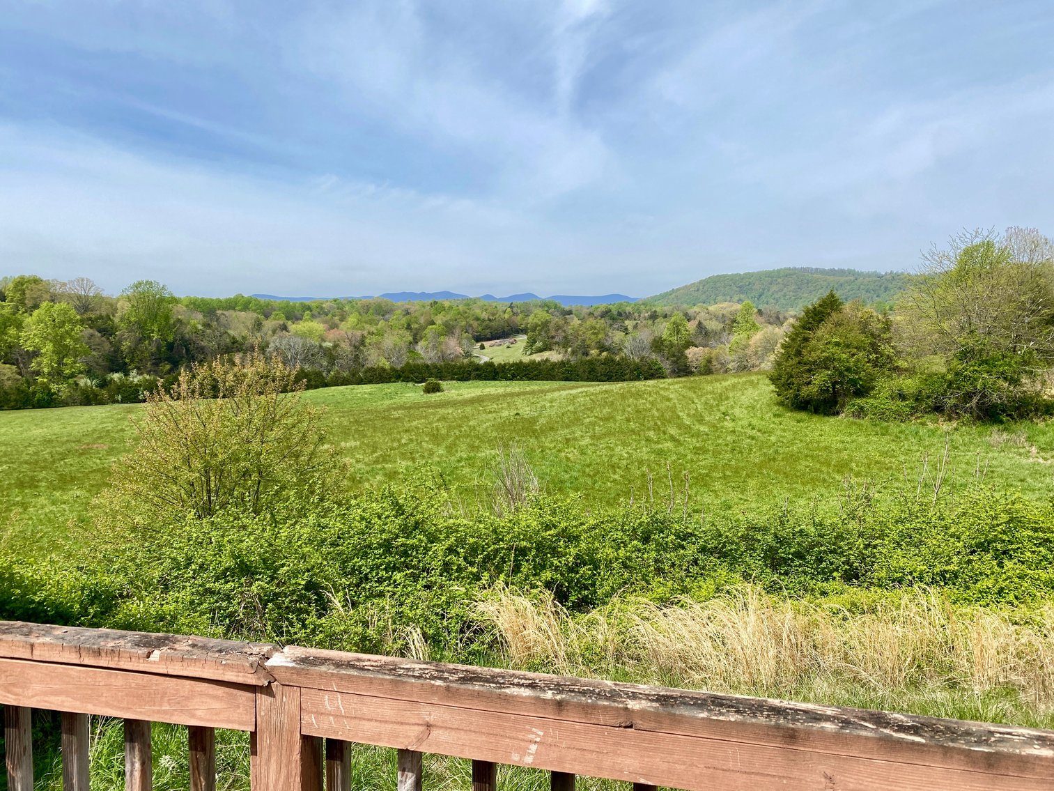 Image for 3 BR/3.5 BA Home on 21 +/- Acres w/Blue Ridge Mountain Views in Madison County, VA--SELLS to the HIGHEST BIDDER!!