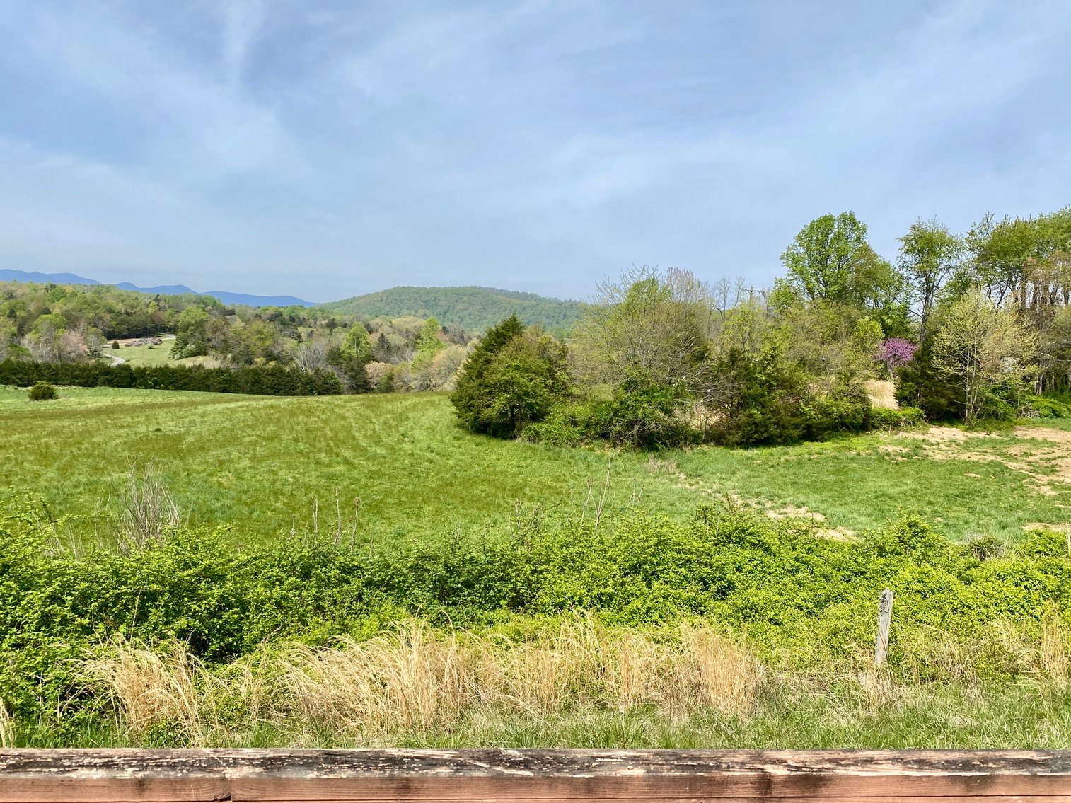 Image for 3 BR/3.5 BA Home on 21 +/- Acres w/Blue Ridge Mountain Views in Madison County, VA--SELLS to the HIGHEST BIDDER!!