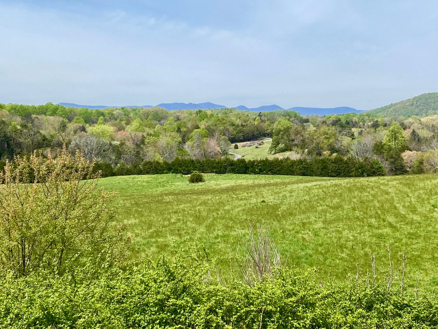 Image for 3 BR/3.5 BA Home on 21 +/- Acres w/Blue Ridge Mountain Views in Madison County, VA--SELLS to the HIGHEST BIDDER!!