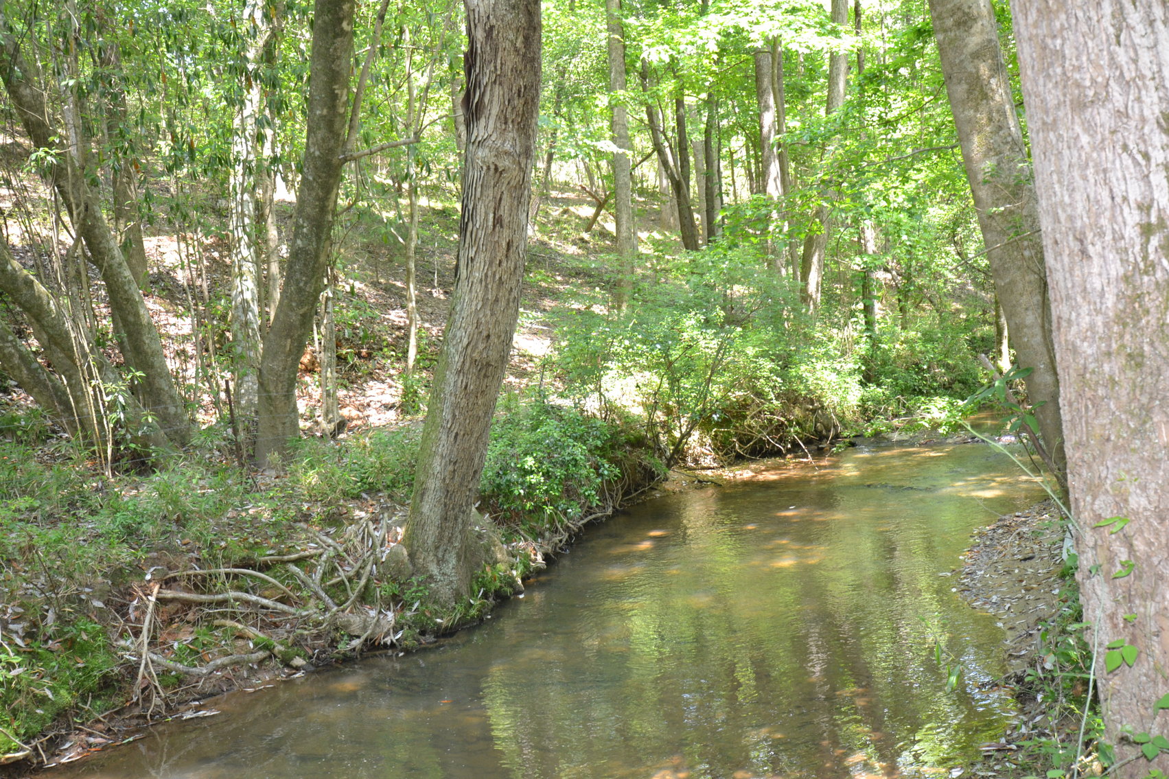 Image for Woodland, AL 3 Homes ~ Large Shop 4+/- acres